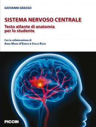 Sistema nervoso centrale 