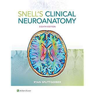 Snell's Clinical Neuroanatomy - 8th Edition