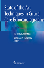 State of the Art Techniques in Critical Care Echocardiography