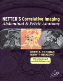Netter’s Correlative Imaging: Abdominal and Pelvic Anatomy 