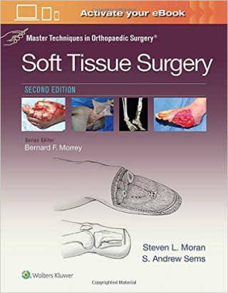 Master Techniques in Orthopaedic Surgery: Soft Tissue Surgery, 2e 