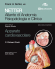 NETTER  - Apparato cardiovascolare