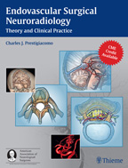 Endovascular Surgical Neuroradiology 