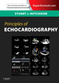 Principles of Echocardiography and Intracardiac Echocardiography