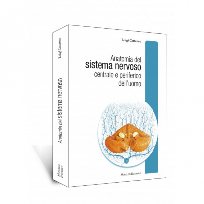 Anatomia del Sistema Nervoso Centrale e Periferico dell'Uomo