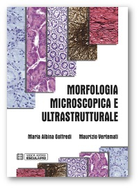 Morfologia Microscopica e Ultrastrutturale