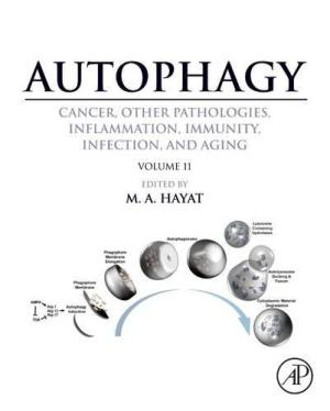 Autophagy: Cancer, Other Pathologies, Inflammation, Immunity, Infection, and Aging