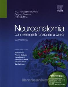 Neuroanatomia