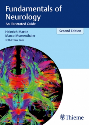 Fundamentals of Neurology