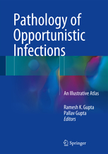 Pathology of Opportunistic Infections 