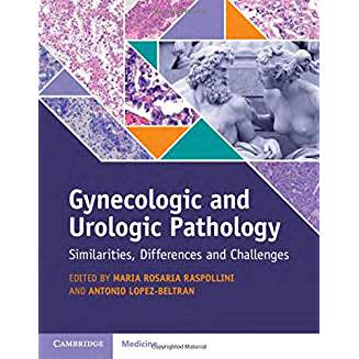 Gynecologic and Urologic Pathology