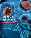 Stem Cell Epigenetics, Volume 17