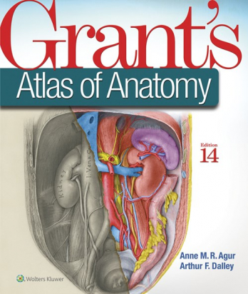 Grant's Atlas of Anatomy 14th ed