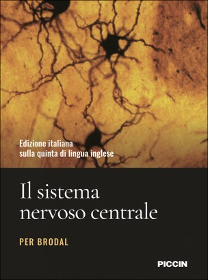 Il sistema nervoso centrale