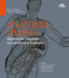 Anatomia Umana