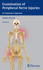 Examination of Peripheral Nerve Injuries: An Anatomical Approach