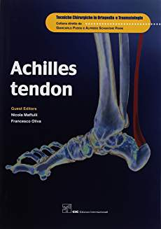 Achilles Tendon