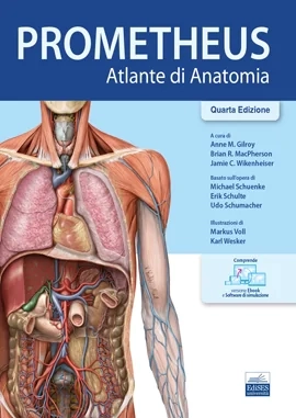 Atlante di Anatomia - Prometheus - Quarta Edizione