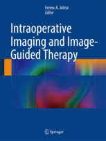 Intraoperative Imaging and Image-Guided Therapy  