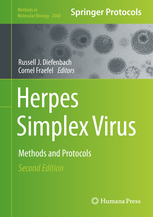 Herpes Simplex Virus 
