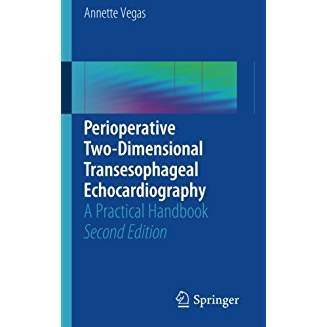 Perioperative Two-Dimensional Transesophageal Echocardiography