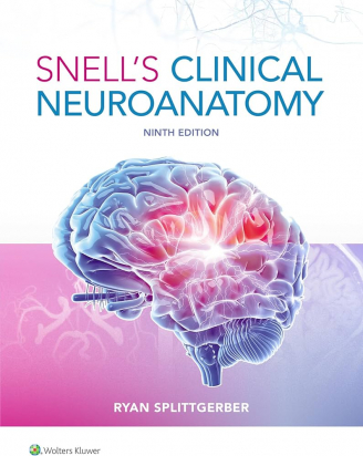 Snell's Clinical Neuroanatomy 9th edition