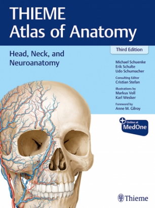 Head, Neck, and Neuroanatomy (THIEME Atlas of Anatomy)