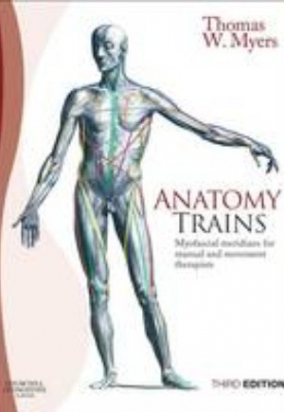 Anatomy Trains, 3rd Edition  -  Myofascial Meridians for Manual and Movement Therapists