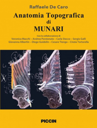 Anatomia topografica di Munari