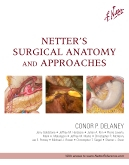 Netter's Surgical Anatomy and Approaches