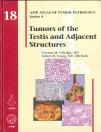 AFIP 4  Fasc. 18  Tumors of the Testis &amp; Adjacent Structures 