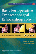 Basic Perioperative Transesophageal Echocardiography