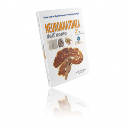 Neuroanatomia Dell’Uomo 2ª edizione