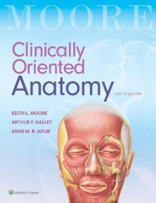 Clinically Oriented Anatomy, 8e 