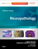 Neuropathology