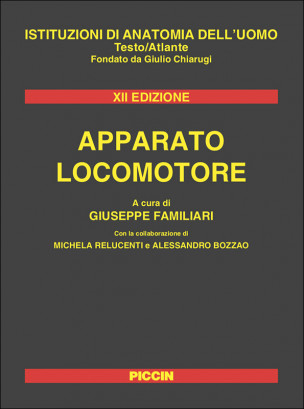 Apparato Locomotore