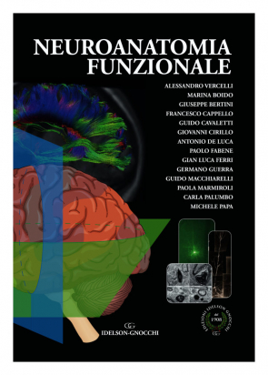 Neuroanatomia Funzionale