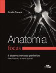Focus anatomia - Il Sistema Nervoso Periferico