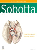 Sobotta Atlas of Anatomy, Vol. 3, 17th ed., English/Latin, 17th Edition