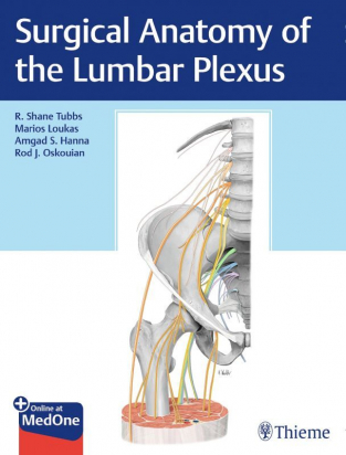 Surgical Anatomy of the Lumbar Plexus