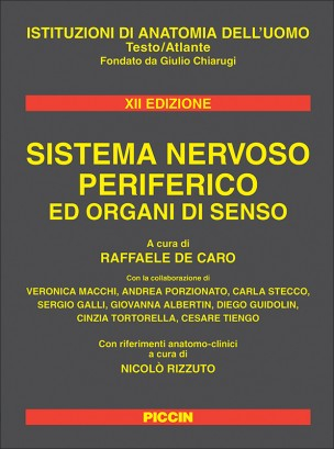 Sistema nervoso periferico ed organi di senso