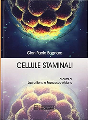 Cellule staminali