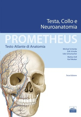 Prometheus - Testa, Collo e Neuroanatomia