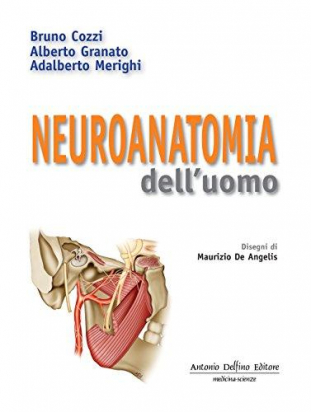 Libro di Neuroanatomia Dell'Uomo