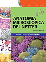 Anatomia microscopica del Netter 