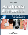 Anatomia di Superficie