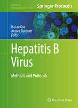 Hepatitis B Virus