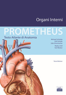  Prometheus. Testo atlante di anatomia. Organi interni