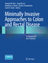 Minimally Invasive Approaches to Colon and Rectal Disease