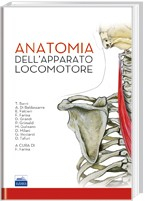 Anatomia dell'apparato locomotore